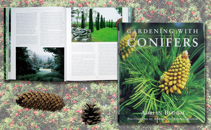 Gardening with Conifers