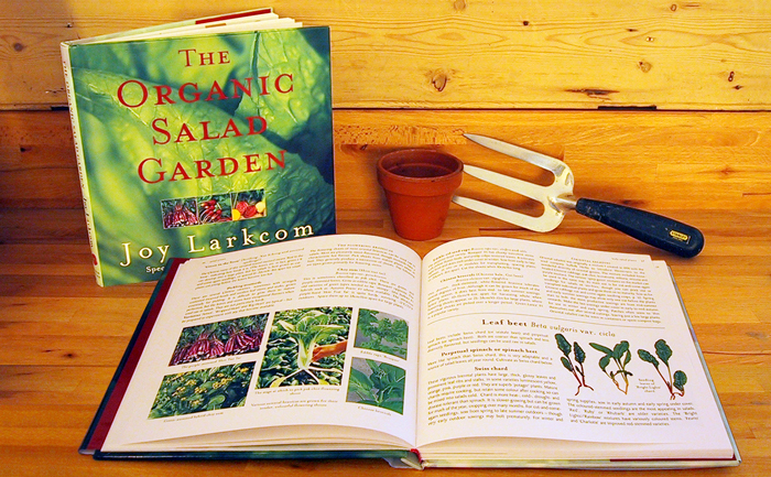 The Organic Salad Garden